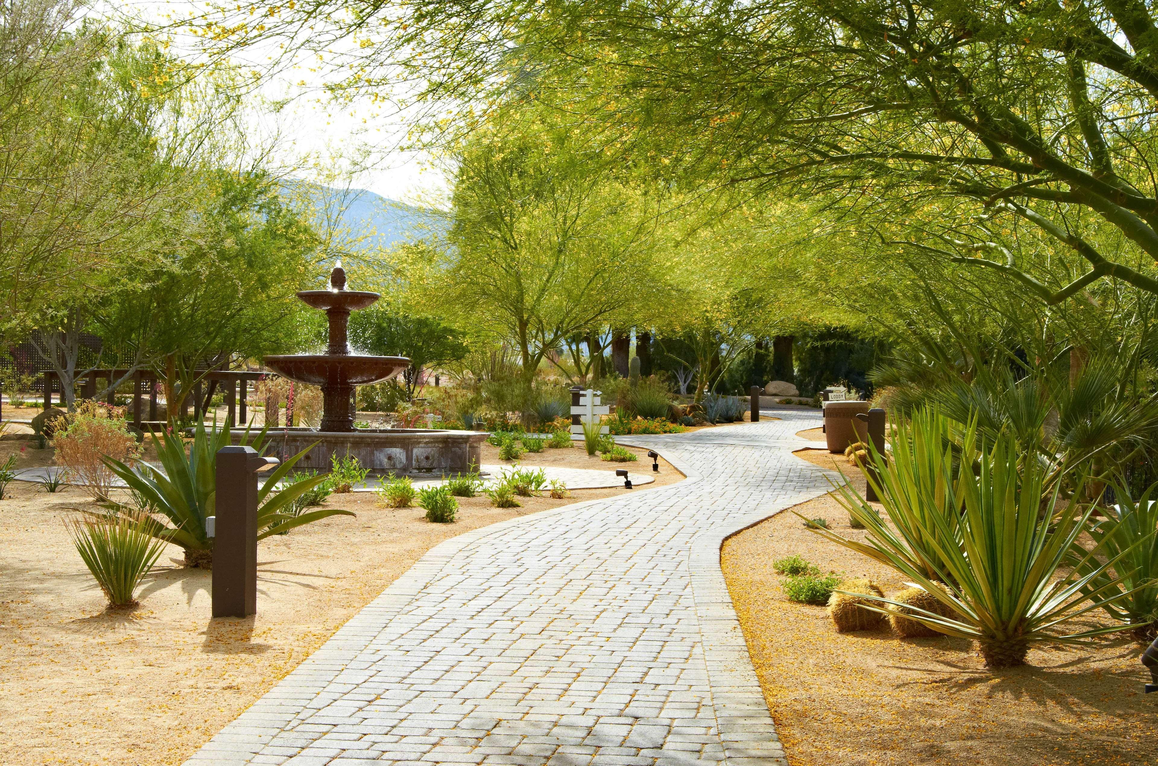 La Casa Del Zorro Resort & Spa Borrego Springs Εξωτερικό φωτογραφία