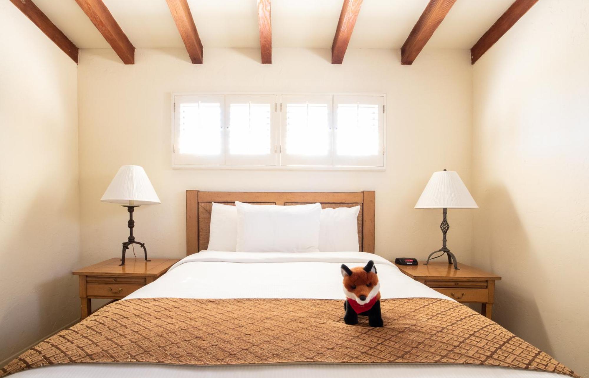 La Casa Del Zorro Resort & Spa Borrego Springs Εξωτερικό φωτογραφία